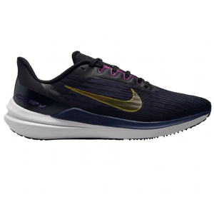 Giày Nam Nike Air Winflo 9 DD6203-007