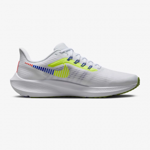 Giày Nam Nike Air Zoom Pegasus 39 PRM DX1627-100