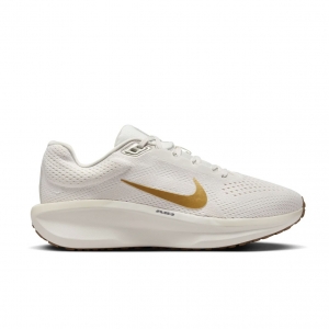 Giày Nike Winflo 11 ‘Phantom’ FJ9510-003
